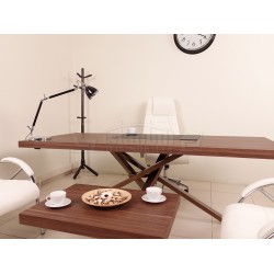 Bavière Conseil Exécutif Noyer