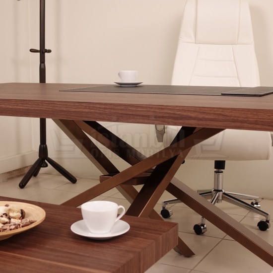 Bavière Conseil Exécutif Noyer