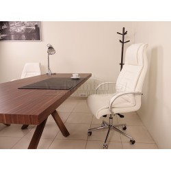 Bavière Conseil Exécutif Noyer