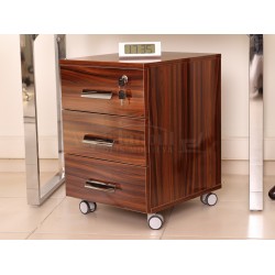 Bureau D'Apple Istanbul Bureau Bureau Exécutif Hg. Noyer