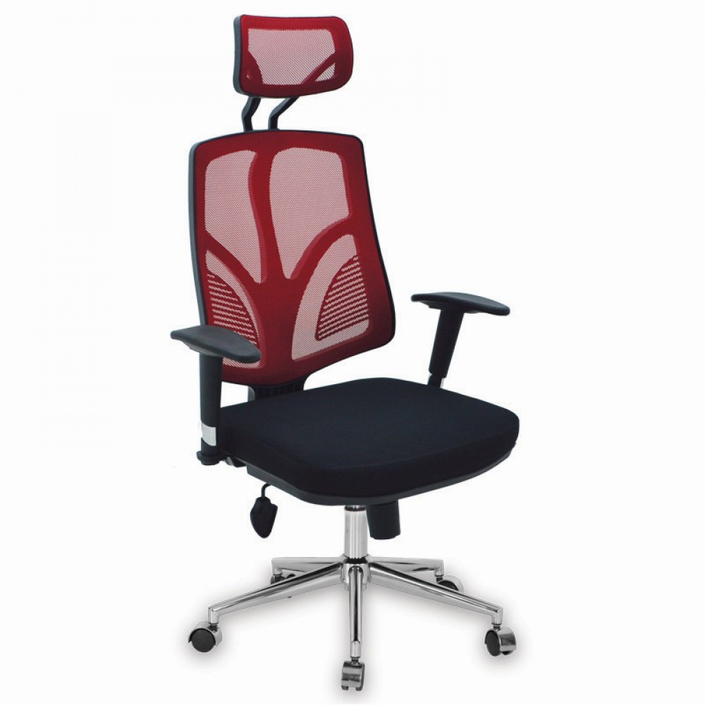 Jan Mesh Président Exécutif