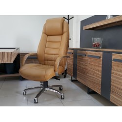 Dem Président Exécutif