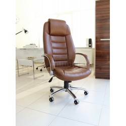 Dem Président Exécutif