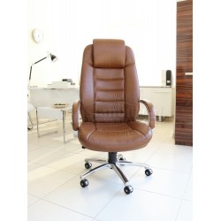 Dem Président Exécutif