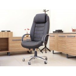 Dem Président Exécutif