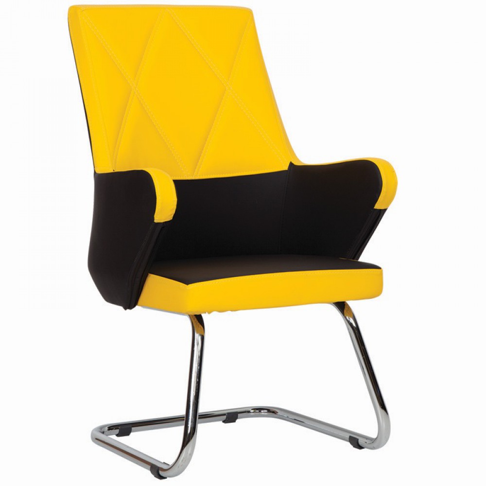 King Guest Président