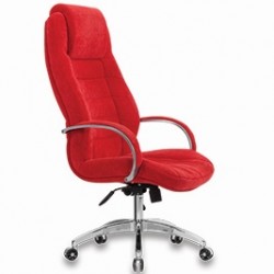 Dem Président Exécutif