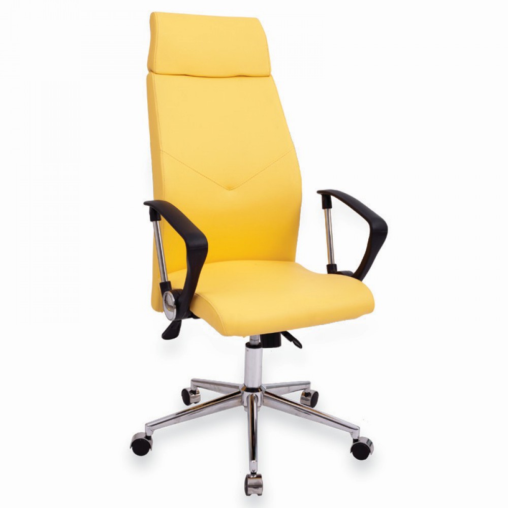 Onna Président Exécutif