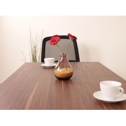 Table De Réunion De Vienne