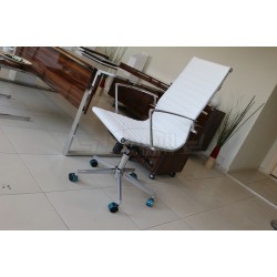 Aylin Président Exécutif