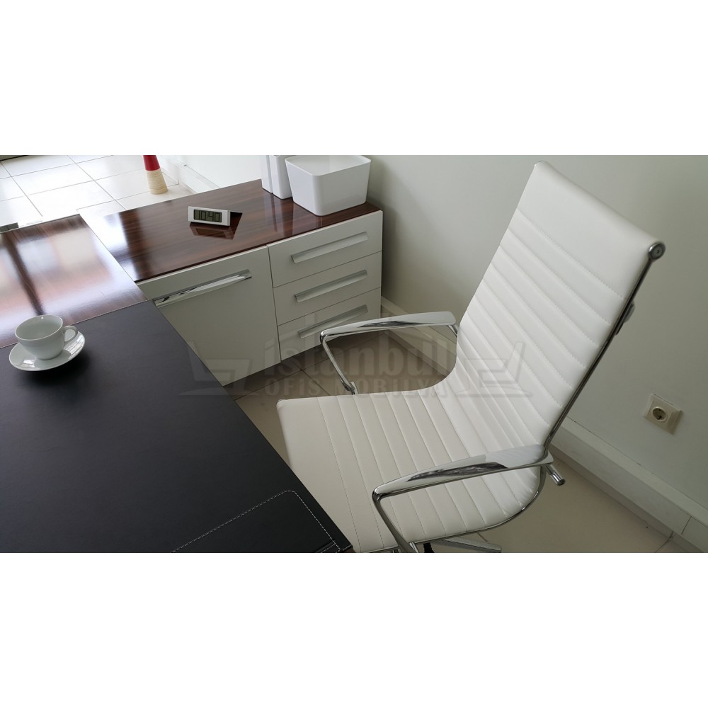 Aylin Président Exécutif