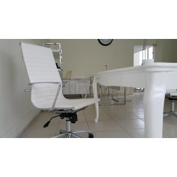 Aylin Président Exécutif