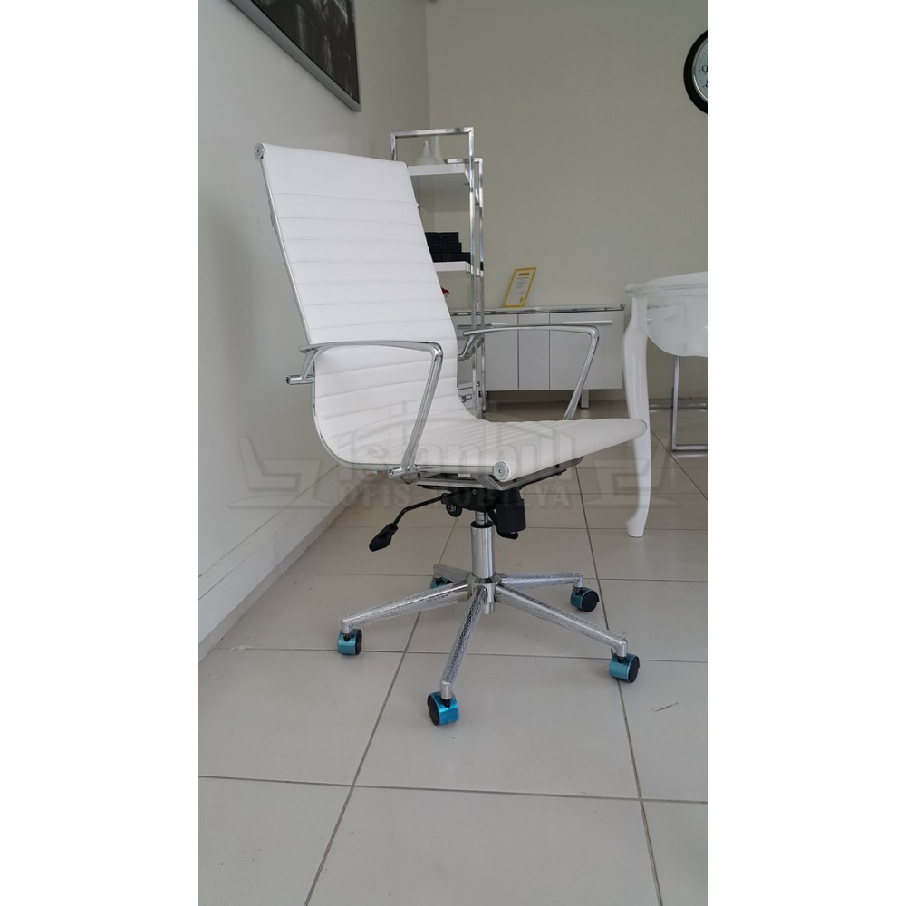 Aylin Président Exécutif