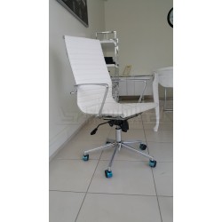 Aylin Président Exécutif