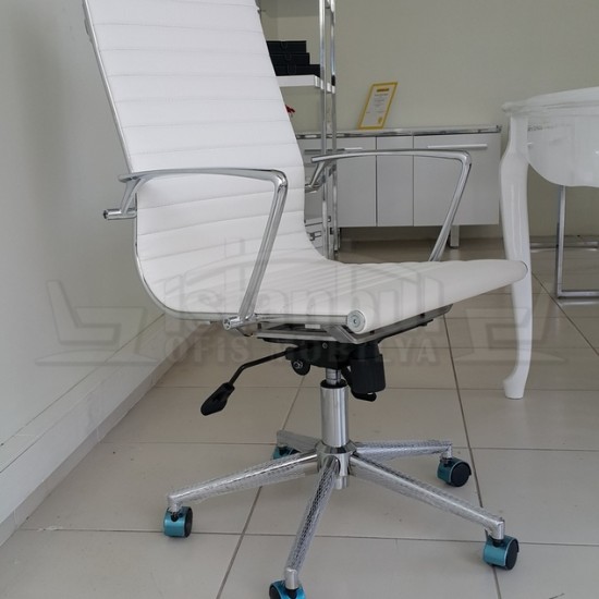 Aylin Président Exécutif