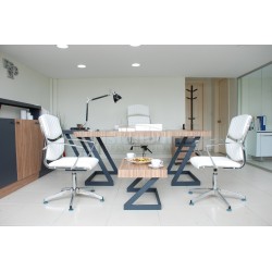 Autoridades Zen Tabla 220-100