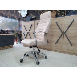 Bureau Exécutif Lexus Équipe