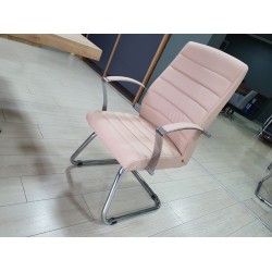 Bureau Exécutif Lexus Équipe