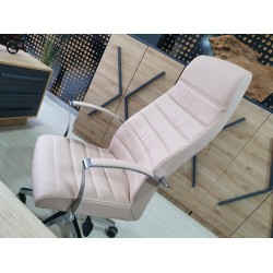 Bureau Exécutif Lexus Équipe