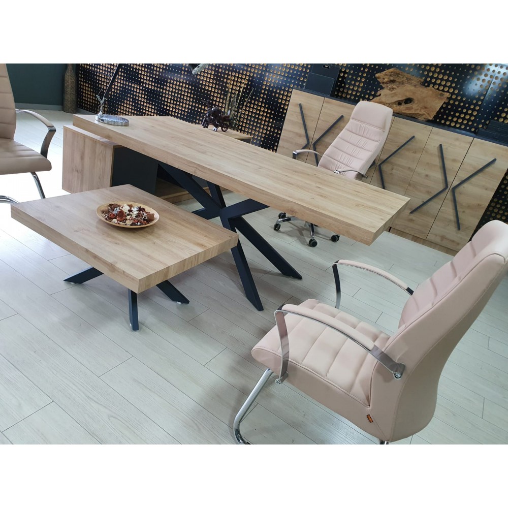 Bureau Exécutif Lexus Équipe