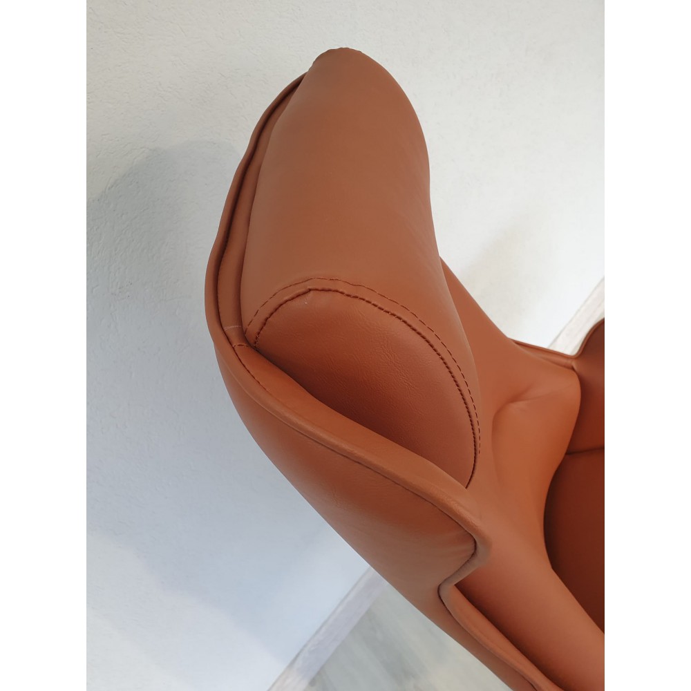 Irden Président Exécutif