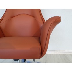 Irden Président Exécutif