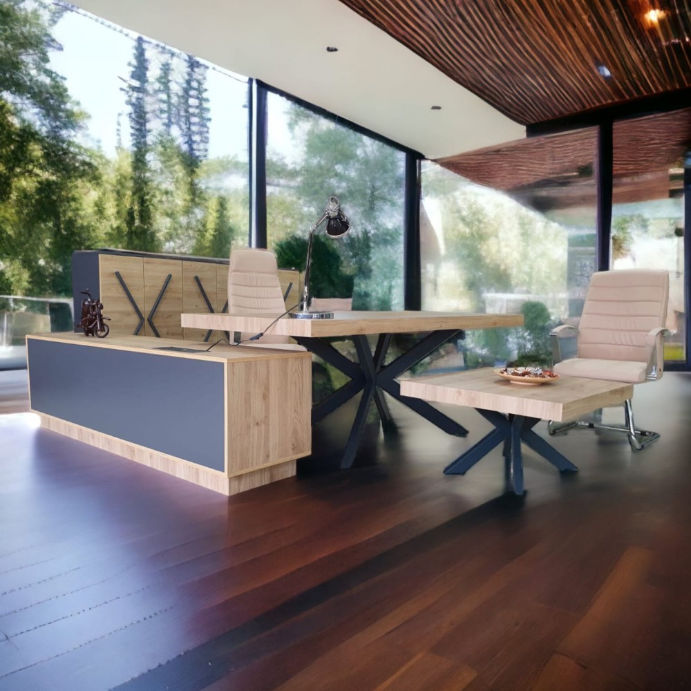 Bureau Exécutif Lexus Équipe