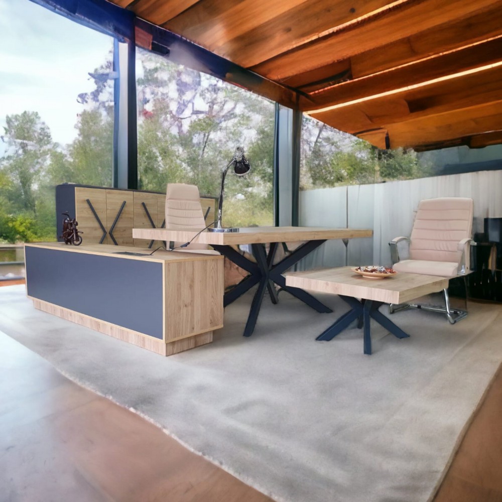 Bureau Exécutif Lexus Équipe