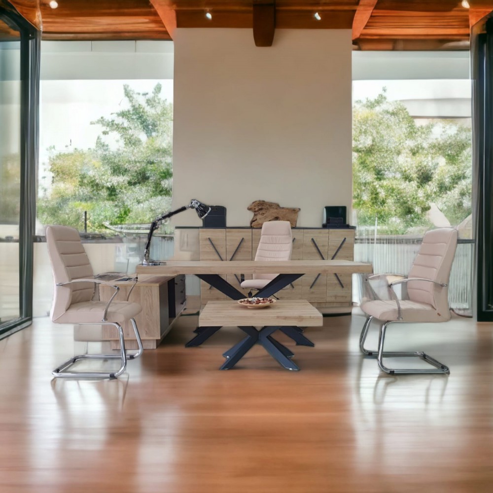 Bureau Exécutif Lexus Équipe