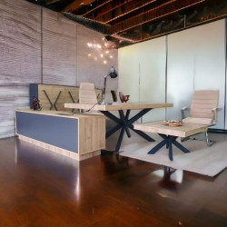 Bureau Exécutif Lexus Équipe