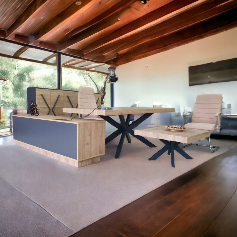 Bureau Exécutif Lexus Équipe