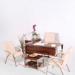 Bureau D'Istanbul Bureau Personnel De L'Équipe High Gloss Noyer