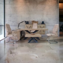 Bureau Exécutif Lexus Équipe