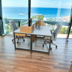 Binary Working Desk Zelinda