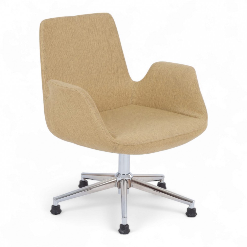 Hisa Guest Star Foot