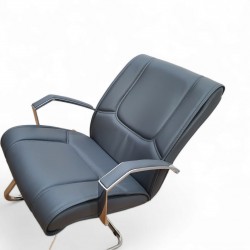 Bangkok Président Exécutif