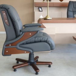 Ensemble de bureau exécutif doré