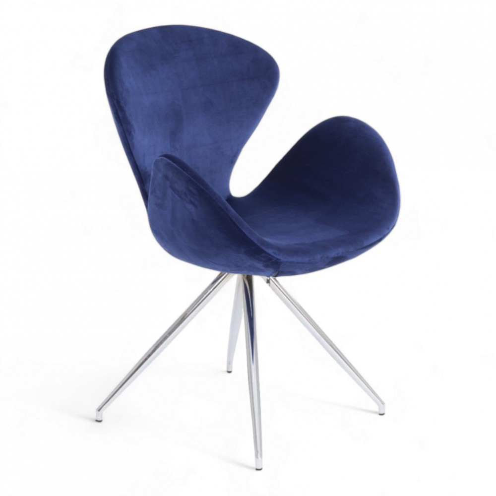 Bardi De Quatre Clients Président