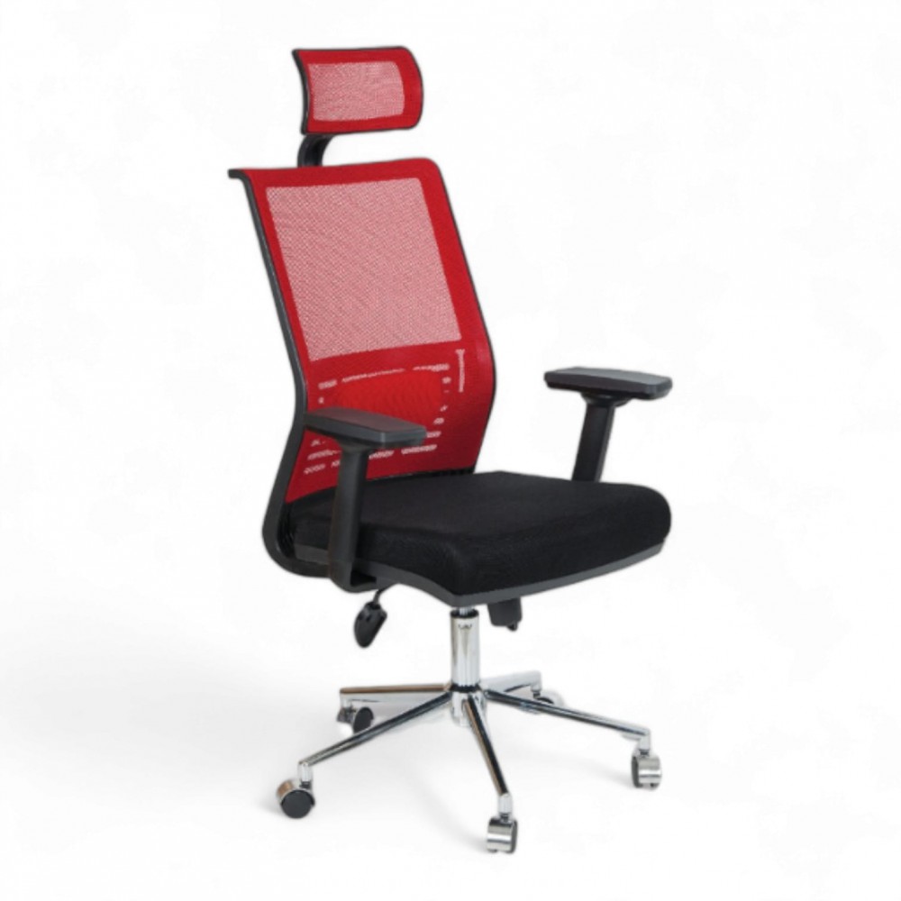 Ada Président Exécutif