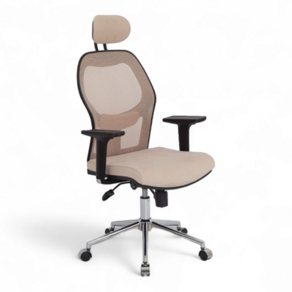 Odi Président Exécutif