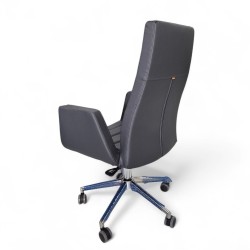 Asie Président Exécutif