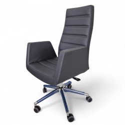 Asie Président Exécutif