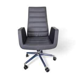 Asie Président Exécutif