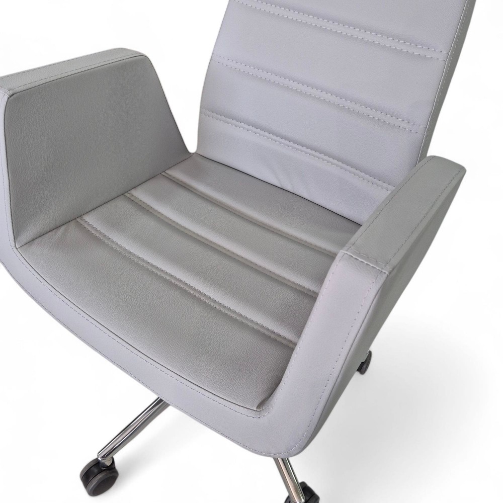 Asie Président Exécutif