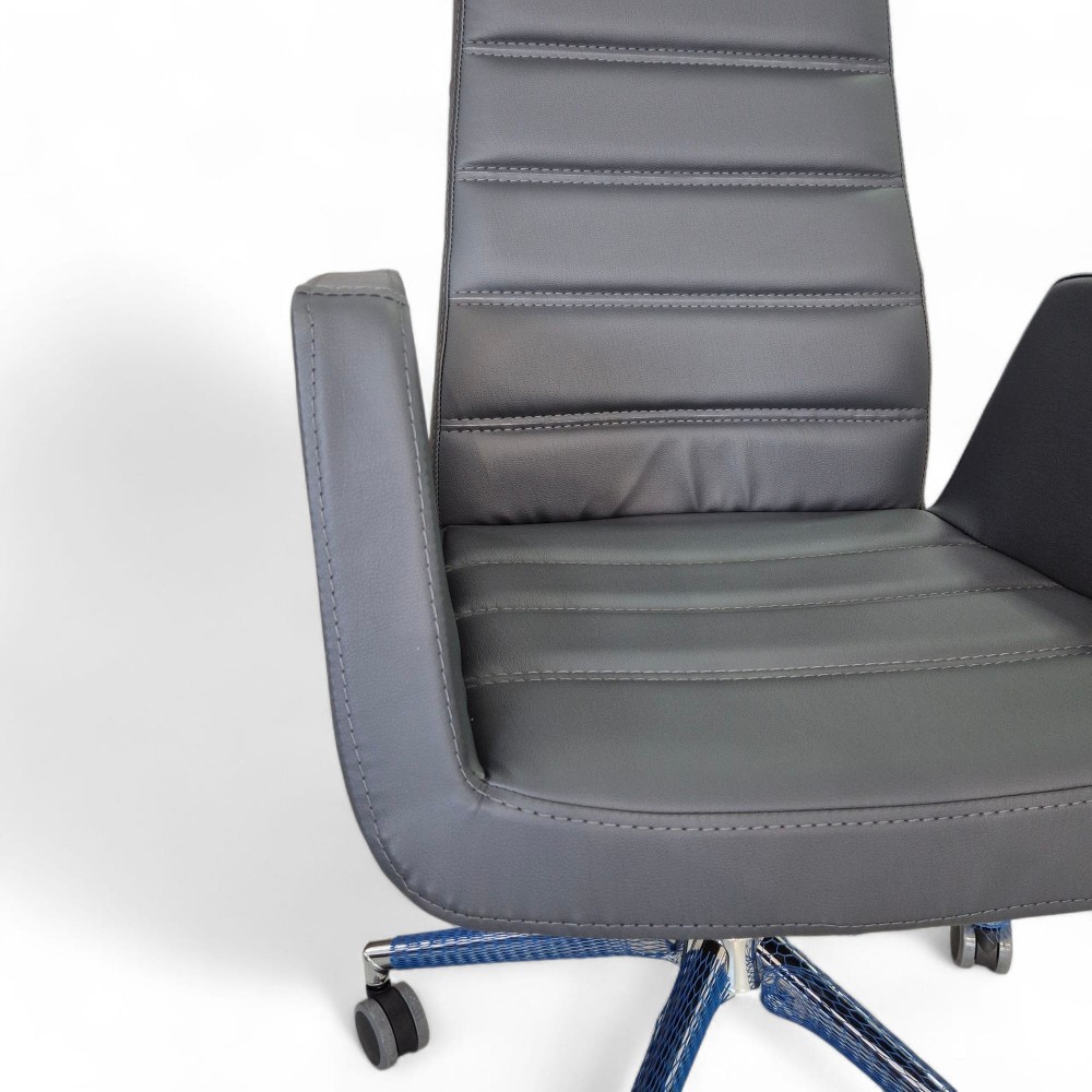 Asie Président Exécutif