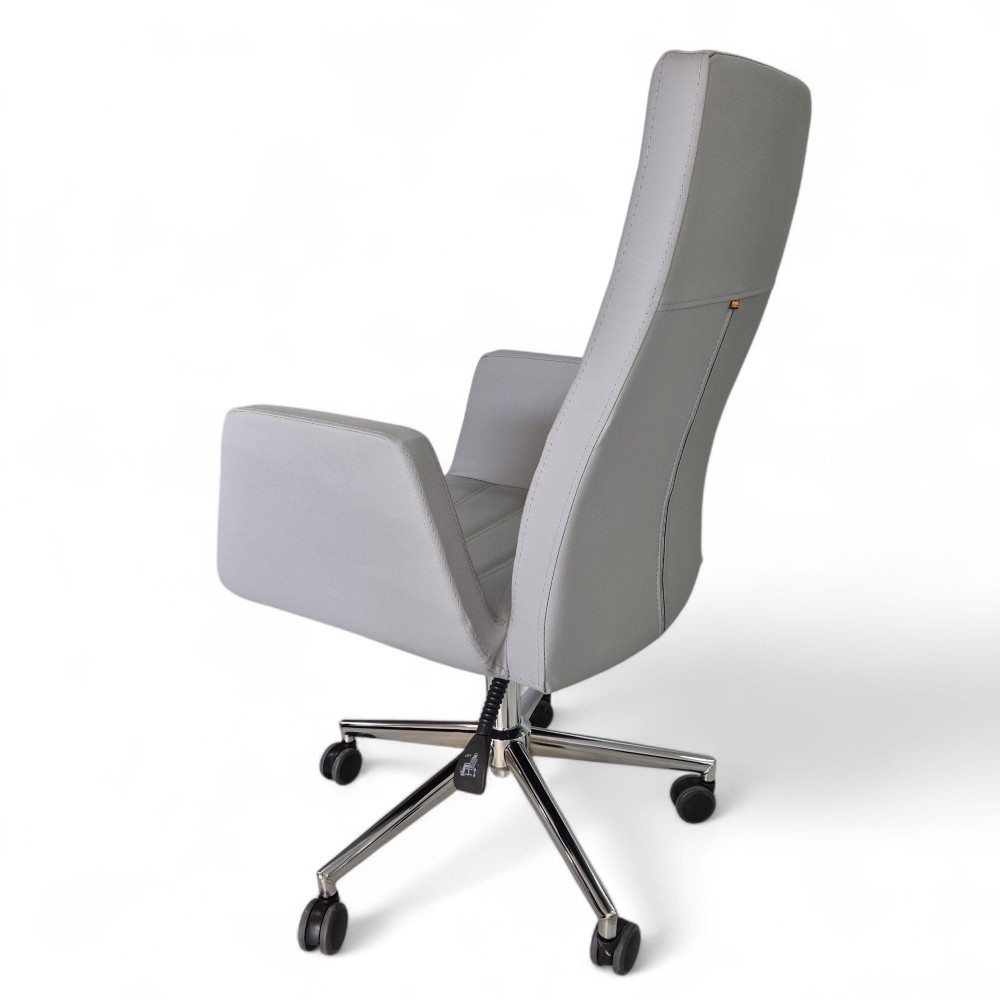 Asie Président Exécutif