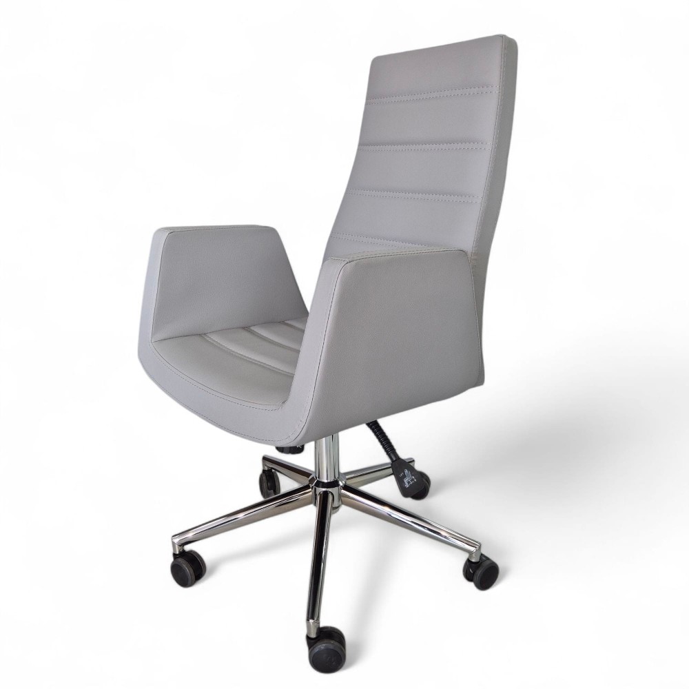 Asie Président Exécutif