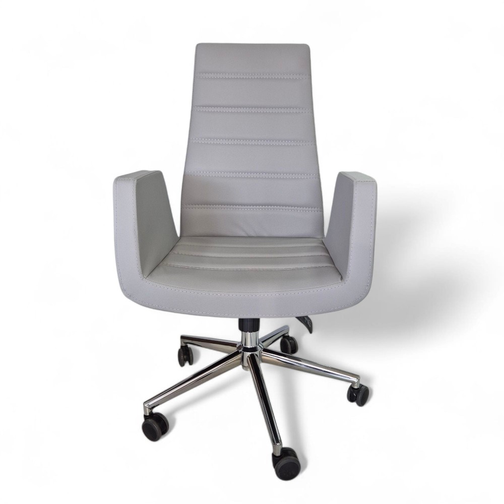 Asie Président Exécutif