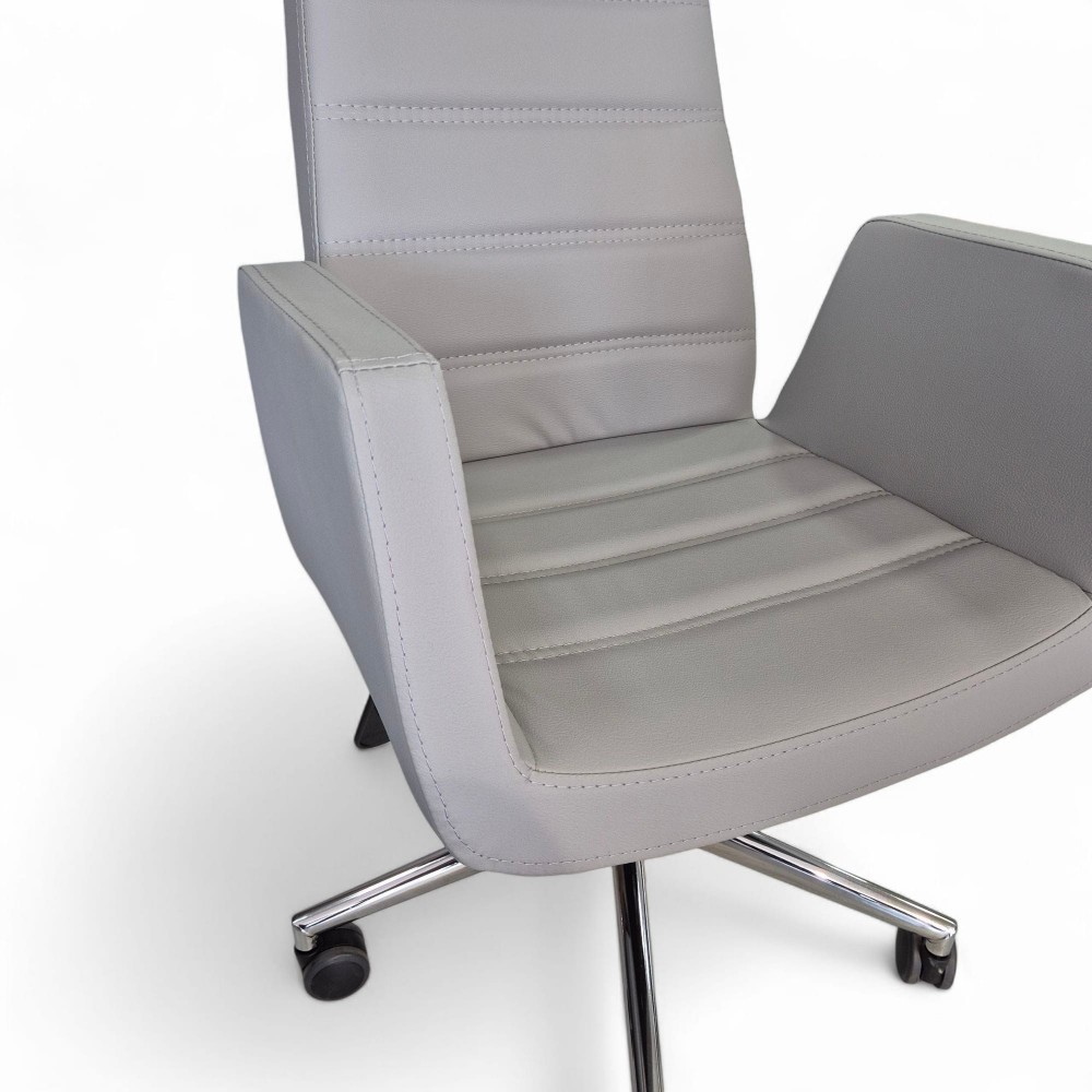 Asie Président Exécutif