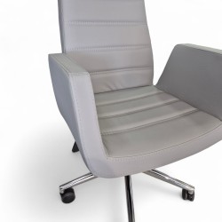 Asie Président Exécutif